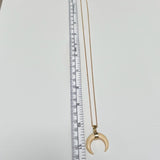 Sandstone horn pendant and gold chain